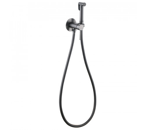 Гигиенический душ Abber Wasser Kreis AF8125NG, со смесителем, цвет никель