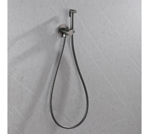 Гигиенический душ Abber Wasser Kreis AF8125NG, со смесителем, цвет никель