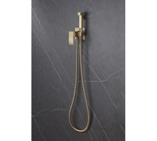 Гигиенический душ Abber Wasserfall AF8625G со смесителем, золото матовое