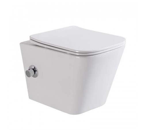 Инсталляция Vitra V-Fix Prime с безободковым унитазом BelBagno Due, сиденье микролифт, 768-5800-01/BB3103CHR-BS/SC