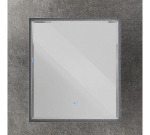 Зеркало интерьерное Cezares Interni CZR-SPC-INT-1000-900-LED-TCH-WARM-TIT, 100 см, с LED подсветкой и сенсорным выключателем, рама титан